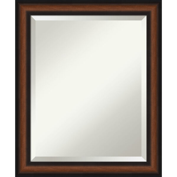 Yale Walnut 19W X 23H-Inch Bathroom Vanity Wall Mirror, image 1