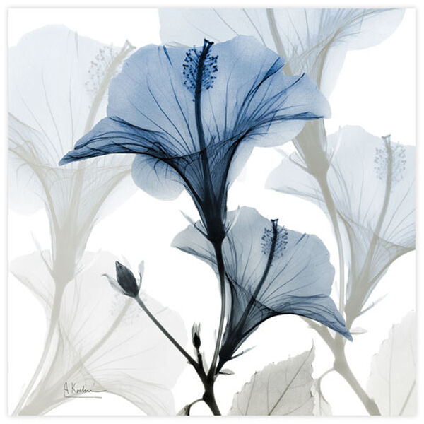 Blue X-ray Floral Frameless Free Floating Tempered Glass Graphic Wall Art, image 2