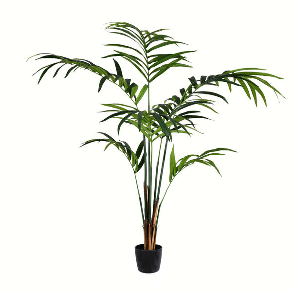 Green Potted Kentia Palm with 118 Leaves, image 1