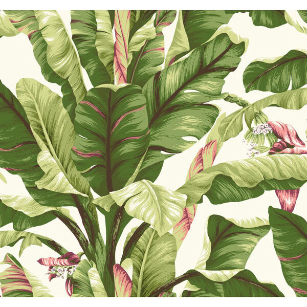 Ashford House Tropics White and Green Banana Leaf Wallpaper, image 1