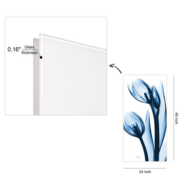 Two Blue Tulips Frameless Free Floating Tempered Glass Graphic Wall Art, image 4