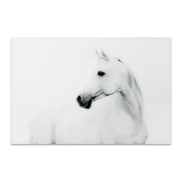 Blanco Stallion Horse Frameless Free Floating Tempered Glass Graphic Wall Art, image 2
