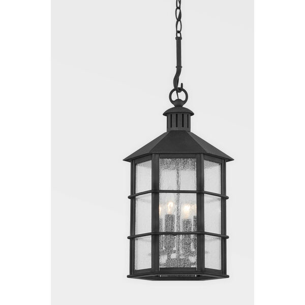 Lake County French Iron Four-Light Chandelier, image 2