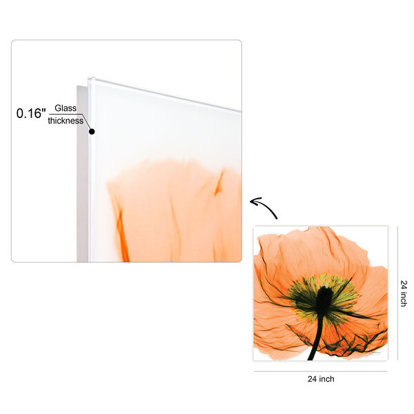 Poppy Orange Frameless Free Floating Tempered Glass Graphic Wall Art, image 4