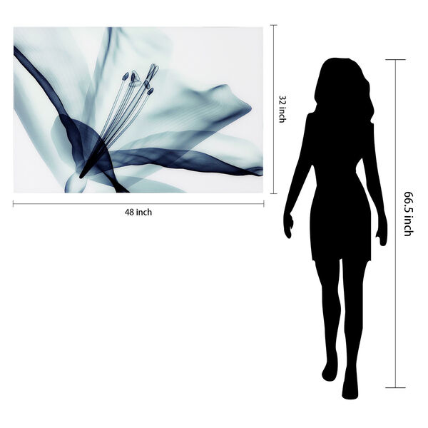 Amaryllis Frameless Free Floating Tempered Glass Graphic Wall Art, image 6