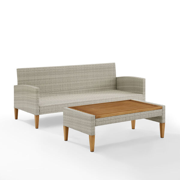 Capella Gray Outdoor Wicker Sofa with Coffee Table, image 3