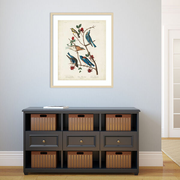 John James Audubon Brown Townsends Warbler 28 x 33 Inch Wall Art, image 1