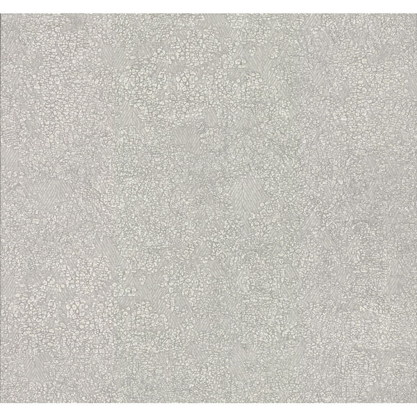 Antonina Vella Elegant Earth Light Gray Weathered Textures Wallpaper, image 2