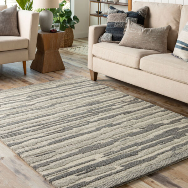 Madelyn Light Beige and Charcoal Rectangular Area Rug, image 2