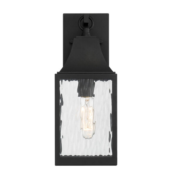 Blueberry Trail Black One-Light Outdoor Wall Lantern, image 1