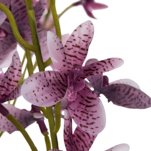 Purple Lavender Orchid Floral Arrangement, image 2