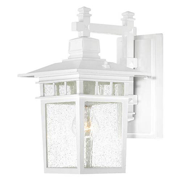 Grace White 14-Inch One-Light Outdoor Wall Sconce with Seeded Glass, image 1