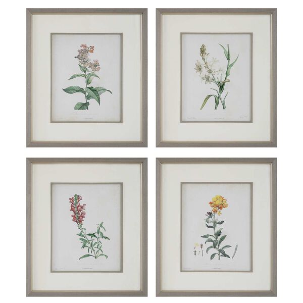 Heirloom Blooms Multicolor Study Framed Prints, Set of Four, image 2