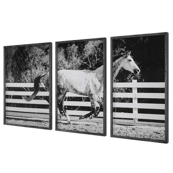 Galloping Forward Black Frame Equine Prints, Set of 3, image 5