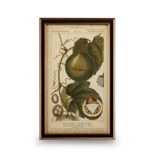 Walnut Exotic Botanica I Wall Art, image 1