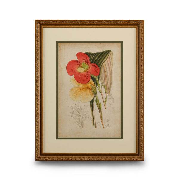 Gold Curtis Tropical Blooms I Wall Art, image 1