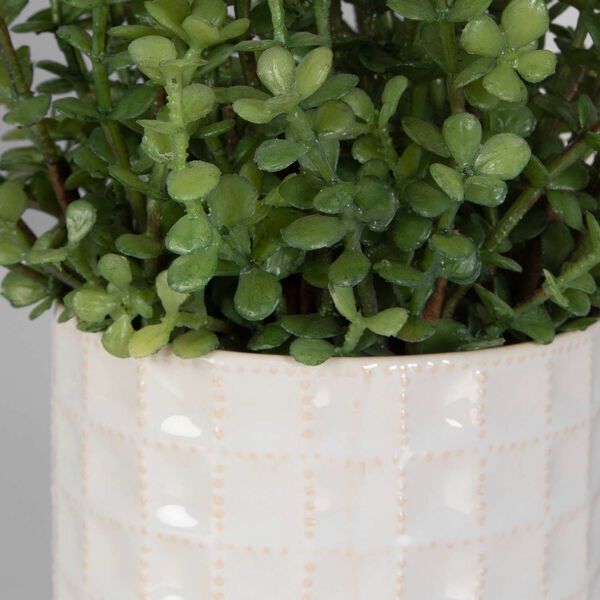 Edgewood White Pot with Variegated Grass And Sedum, Set Of Two, image 4