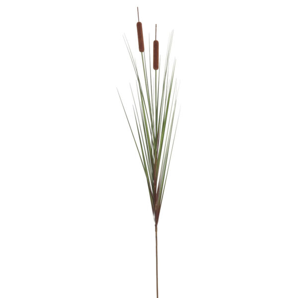 Multicolor 36-Inch Grass with Six Cattails Potted, image 2