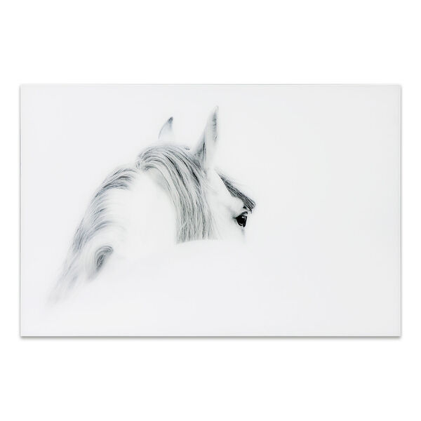 Blanco Mare Horse Frameless Free Floating Tempered Glass Graphic Wall Art, image 2