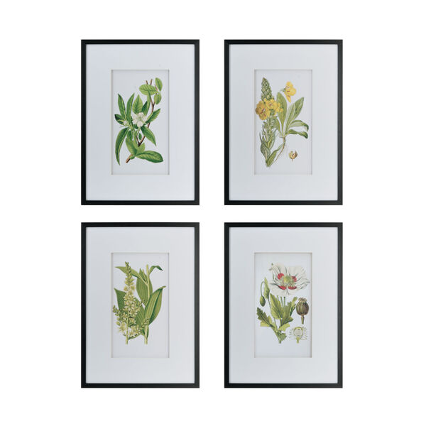 Black and White Botanical Flower Wall Art ,Set of 4, image 2