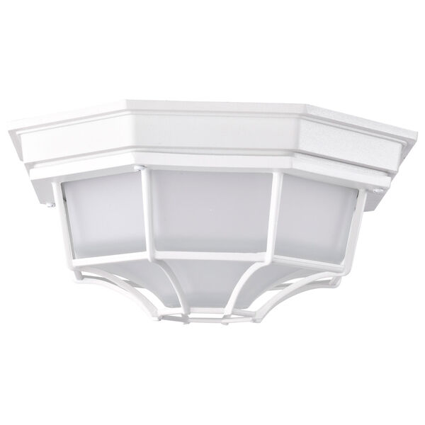 White LED Spider Cage Outdoor Wall Mount with Frosted Glass, image 3