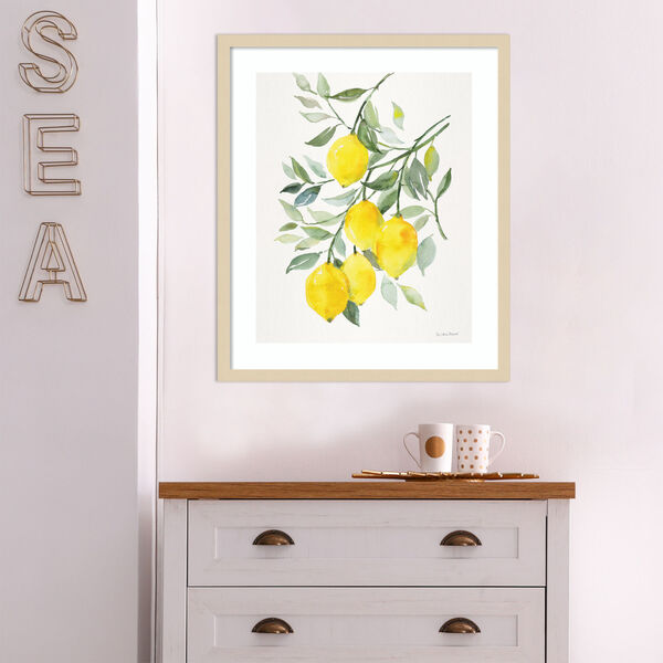 Patricia Shaw Brown Lemon Citrus 21 x 25 Inch Wall Art, image 1