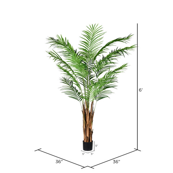 Green Potted Areca Palm with 567 Leaves, image 2