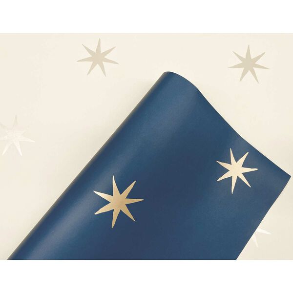 Star Splendor Wicker and Metallic Glint Peel and Stick Wallpaper, image 6