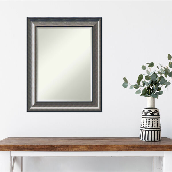 Quicksilver Silver 24W X 30H-Inch Decorative Wall Mirror, image 3