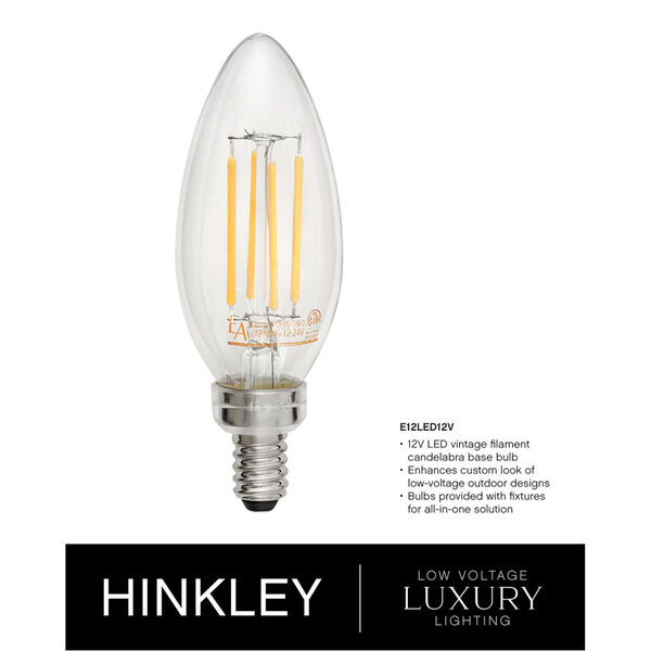Hinkley Carson Vintage Iron Five-Light LED Outdoor Pendant 29705VI