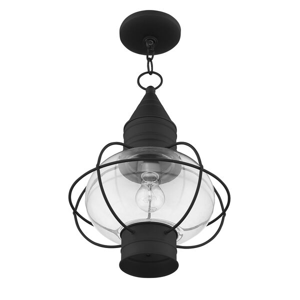 Newburyport Black One-Light 12-Inch Lantern, image 5