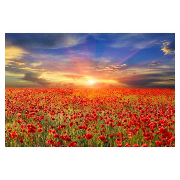 Multicolor Tempered Glass Horizontal All the Poppies Wall Decor, 47 W x 32 H, image 1