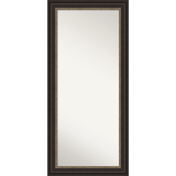 Paragon Bronze 31W X 67H-Inch Full Length Floor Leaner Mirror, image 1