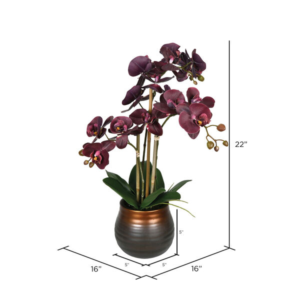 Green and Purple Phalaenopsis with Ceramic Pot, image 2