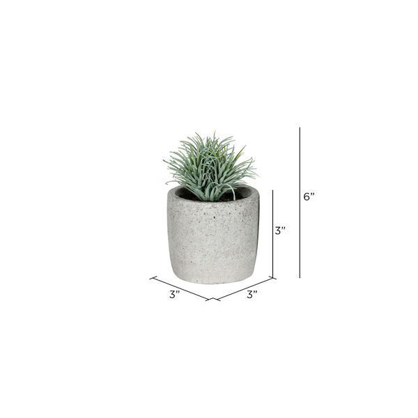 Green Assorted Succulent with White Pot, Pack of 4, image 2