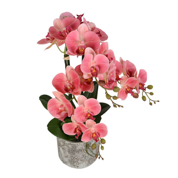 Pink Real Touch Phalaenopsis in Cement Pot, image 2