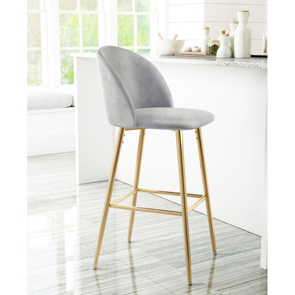 Cozy Gray and Gold Bar Stool, image 2