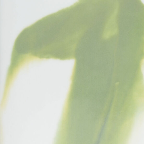 Green and White Five-Inch Jizhou Vase, image 2