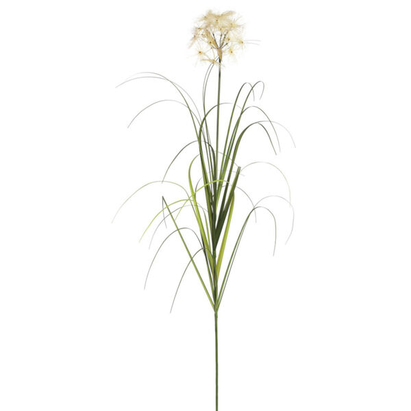 Multicolor 60-Inch Dandelion Grass in Pot, image 2