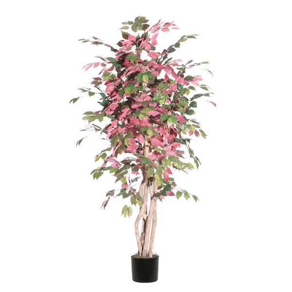 Green and Red 6 Foot Executive Capensia Tree, image 1