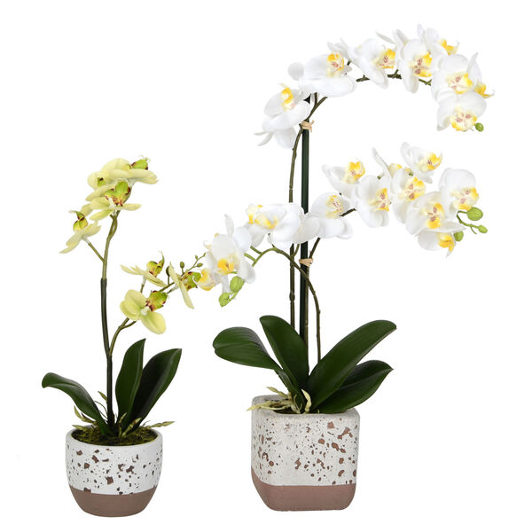 White Real Touch Phalaenopsis, Set of 2, image 1