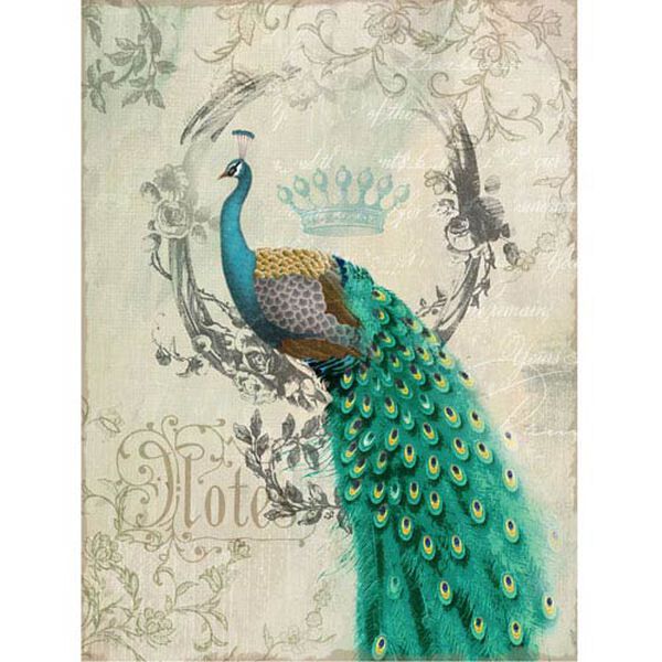 Peacock Poise II: 24 x 35 Prints on Canvas, image 1