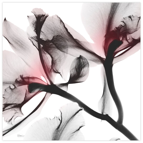 Coral Luster 2 Frameless Free Floating Tempered Glass Graphic Wall Art, image 2