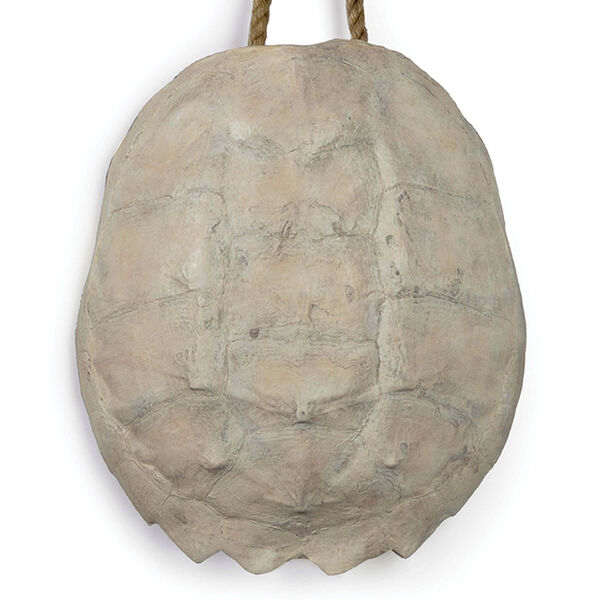 East End Bleached Turtle Shell, image 3