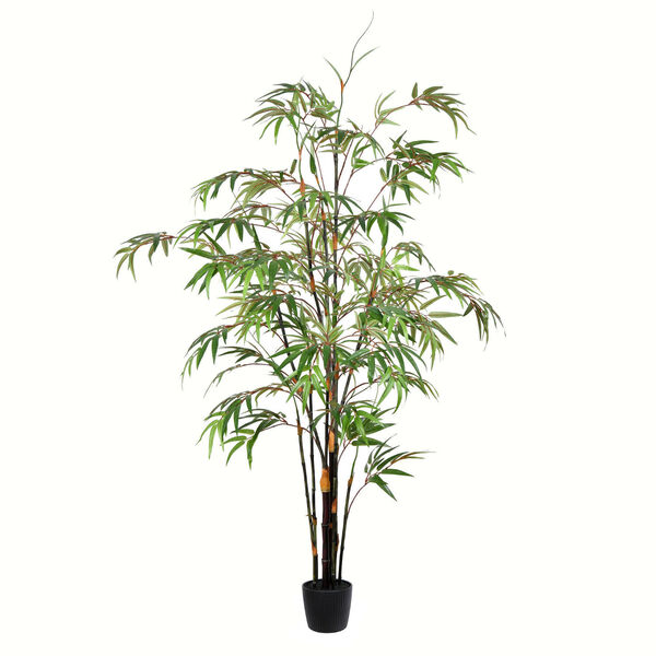 Green 60-Inch Japanese Bamboo Tree with Black Pot, image 1