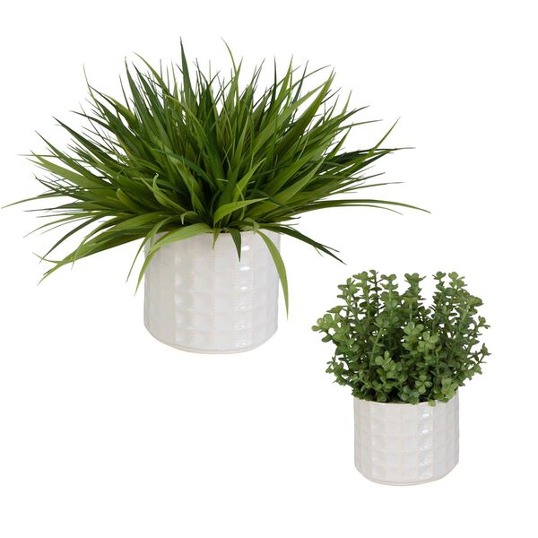 Edgewood White Pot with Variegated Grass And Sedum, Set Of Two, image 1