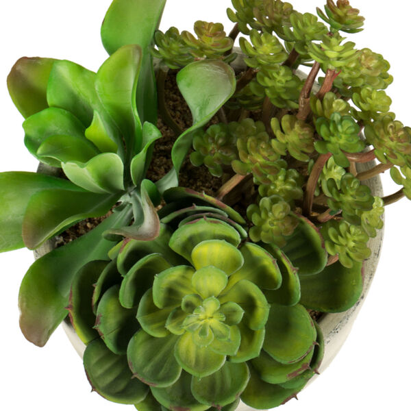 Green Succulent Arrangement, image 5