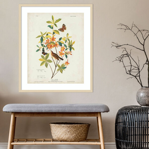 John James Audubon Brown Swainsons Warbler 28 x 33 Inch Wall Art, image 4