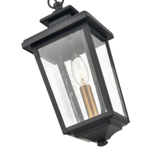 Eldrick Powder Coat Black One-Light Outdoor Hanging Lantern, image 4