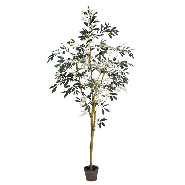 Green 6-Feet Potted Olive Tree with 777 Leaves, image 1